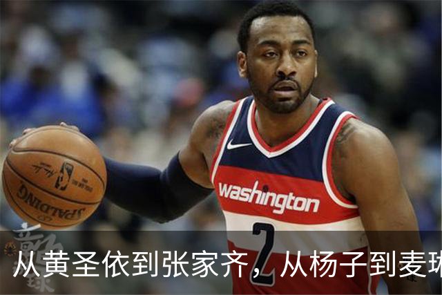 从黄圣依到张家齐，从杨子到麦琳，捅了NPD的窝