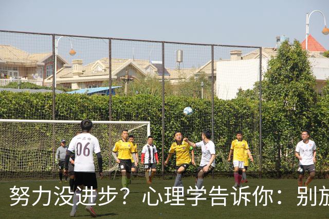 努力没进步？心理学告诉你：别放弃，你的学习正在 “潜伏”