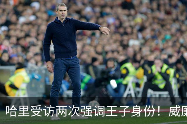 哈里受访两次强调王子身份！威廉被问称呼，却只说怎么合适怎么来