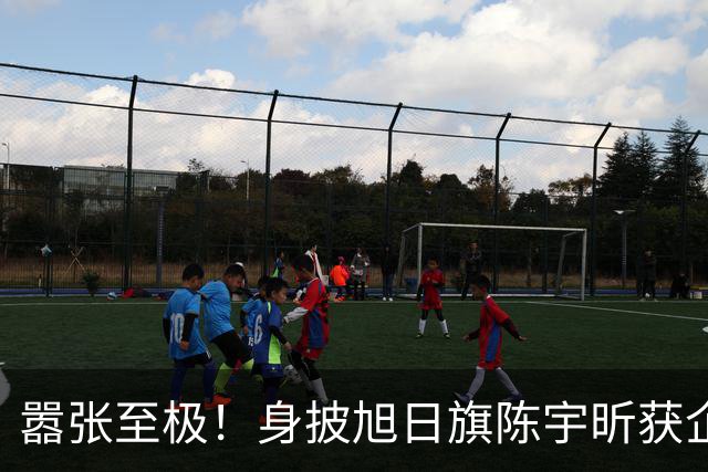 嚣张至极！身披旭日旗陈宇昕获企业公开支持：一起披！汤家凤痛斥