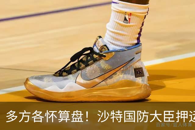 多方各怀算盘！沙特国防大臣押运10亿美元飞去伊朗，求胡塞停火？