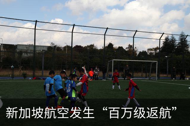 新加坡航空发生“百万级返航”