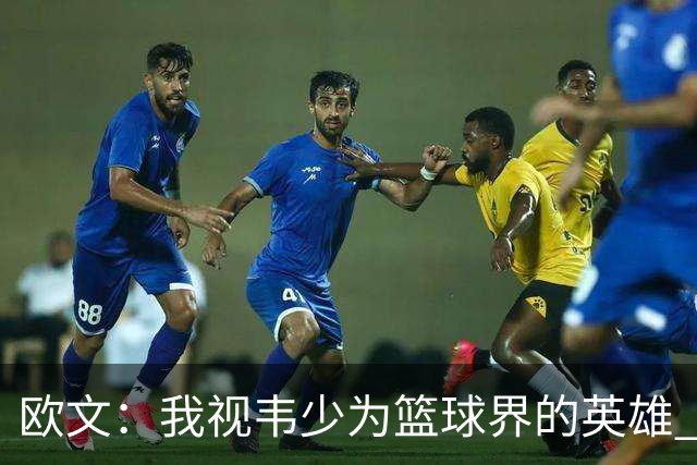 欧文：我视韦少为篮球界的英雄 他在湖人遭遇不公