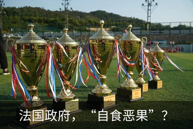 法国政府，“自食恶果”？