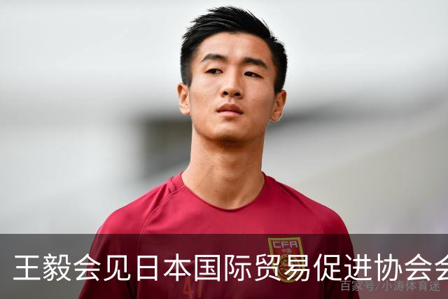 王毅会见日本国际贸易促进协会会长岩屋毅