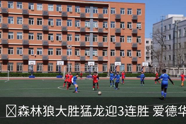 🏀森林狼大胜猛龙迎3连胜 爱德华兹26分 三球15+8 小卡伤缺