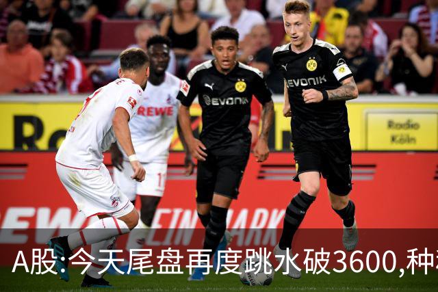 A股:今天尾盘再度跳水破3600,种种迹象表明,本轮调整或全面启动？